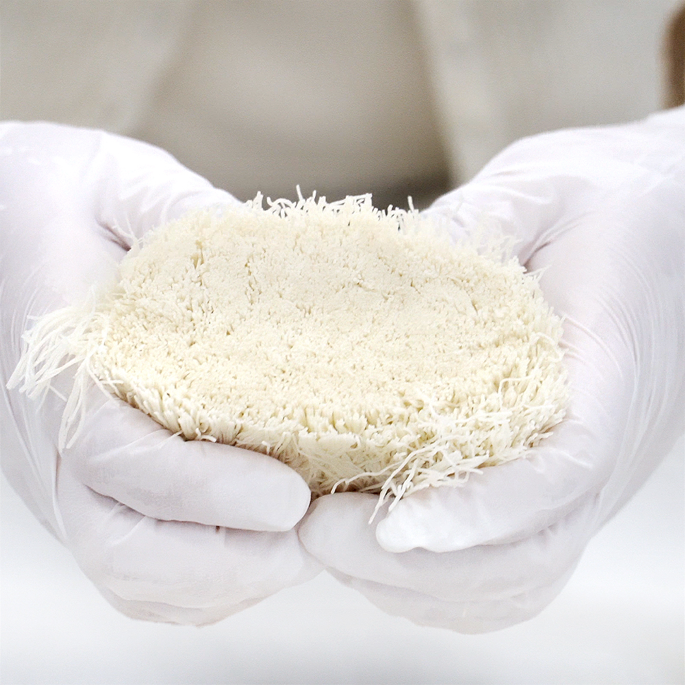 소프라브릭 카다이프 500g 냉동 프랑스산