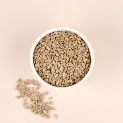 너츠스토리 해바라기씨 1kg