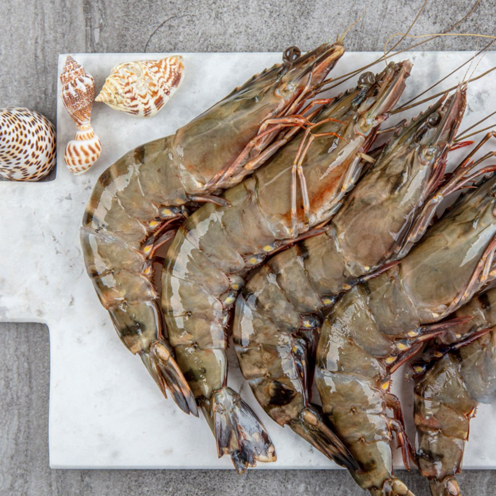 블랙 타이거 새우 중 10미 500g 냉동 캠핑 대하 새우구이