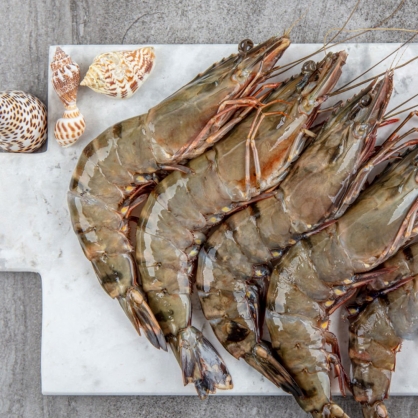 블랙 타이거 새우 중 10미 500g 냉동 캠핑 대하 새우구이