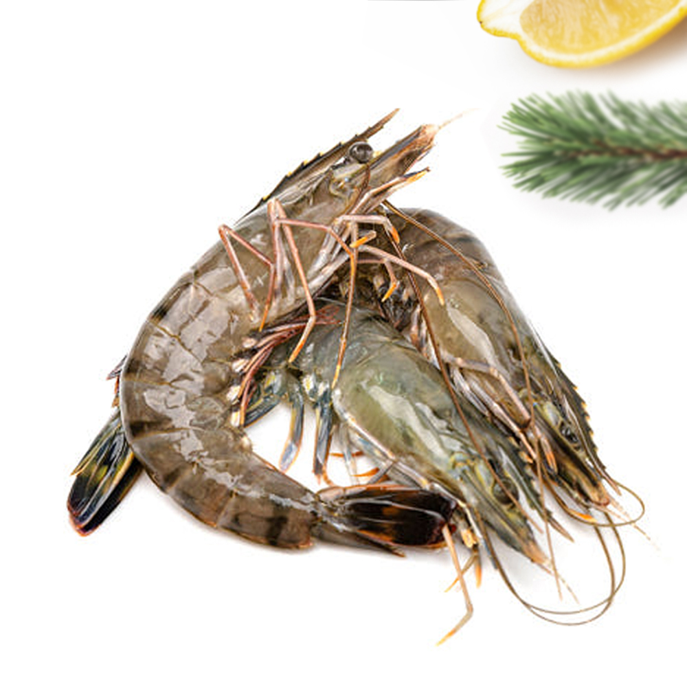 블랙 타이거 새우 대 8미 500g 냉동 캠핑 대하 새우구이