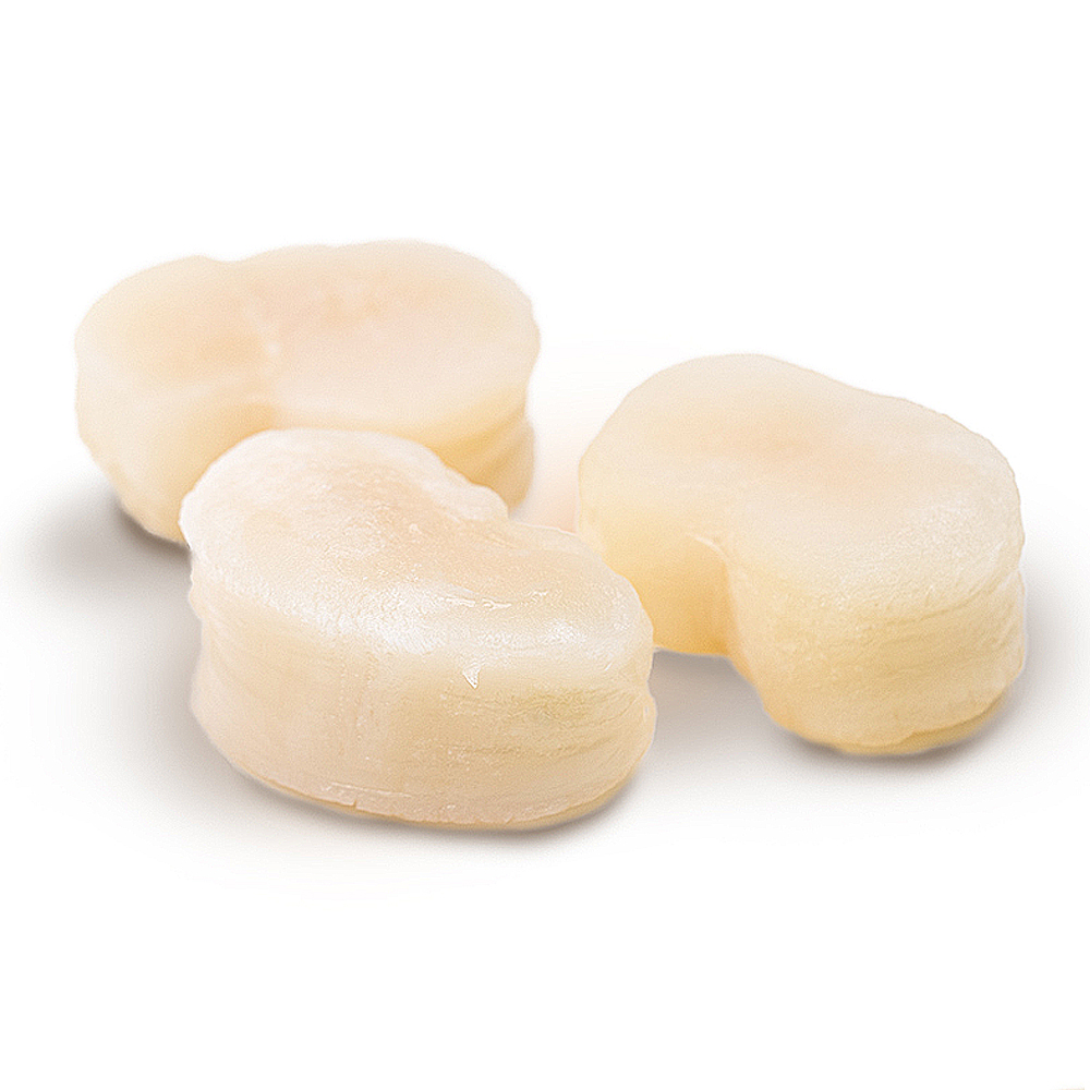 키조개관자살 16/20 1kg 통관자 중국산 냉동